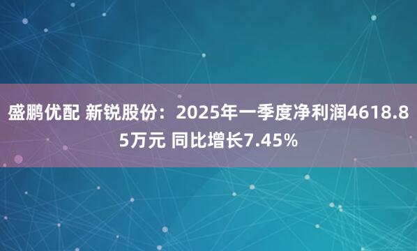 盛鹏优配 新锐股份：2025年一季度净利润4618.85万元 同比增长7.45%