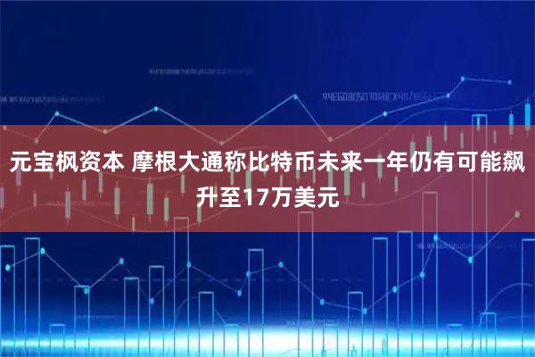元宝枫资本 摩根大通称比特币未来一年仍有可能飙升至17万美元
